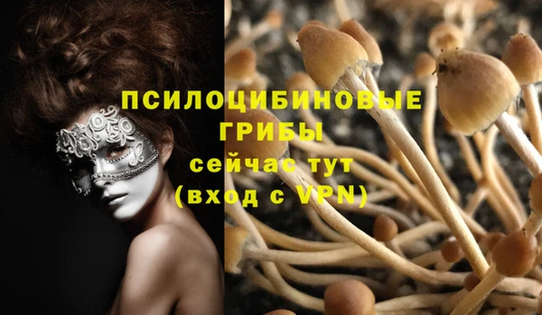spice Саяногорск