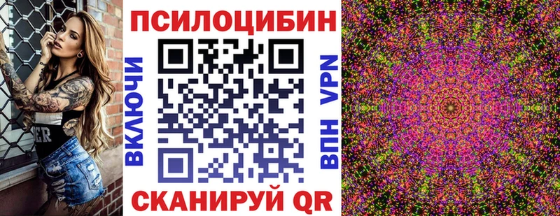 Галлюциногенные грибы Psilocybine cubensis  Купить  Сураж 