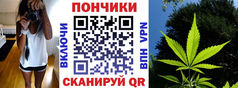 Бошки марихуана MAZAR  Купить где  Сураж 